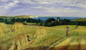 Campo de maíz en la Isla de Wight